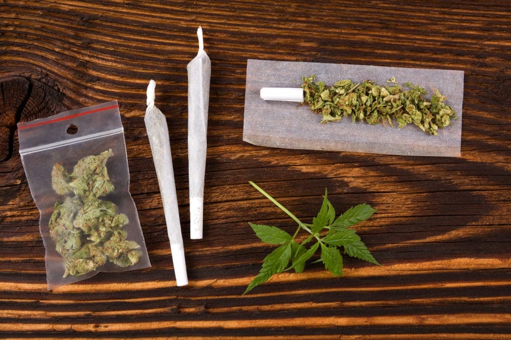 America’s Trusted Cannabis Shop: Fast Shipping to All States – Buy Weed Strains Online