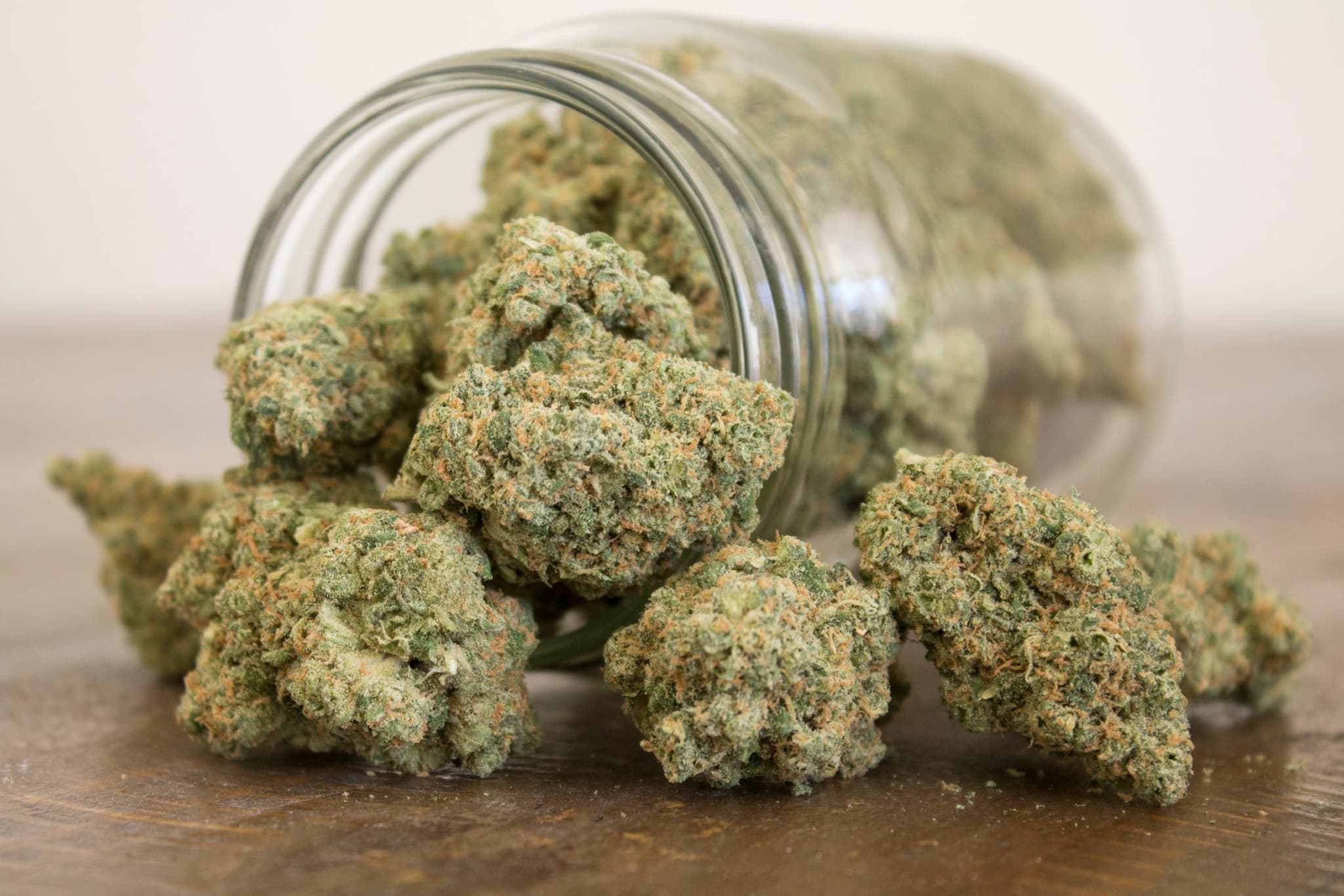 Trust in CBD OG Kush: Green Leaf Store EU's Physician-Tested, Hand-Selected Offerings