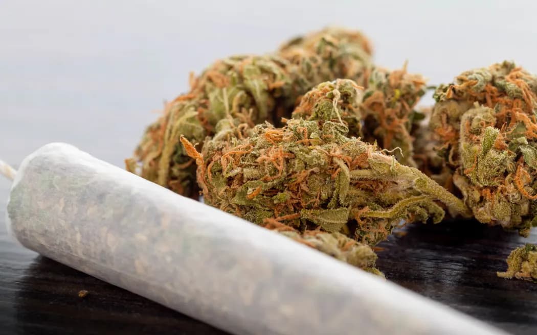 Discover High-Grade Cannabis at Euro Weed Clinic: Your #1 Spot to Buy Marijuana Online Europe