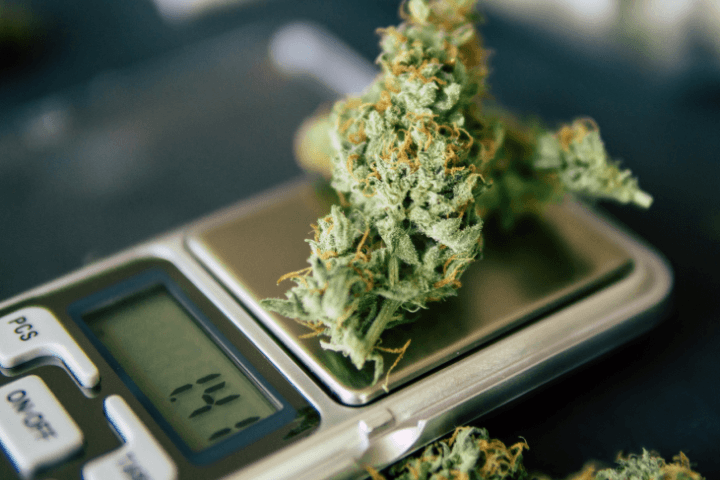 Aroma, textura y calidad en cada lote de La Cosechera CBD hash, una propuesta atractiva para quienes buscan variedad y gran formato