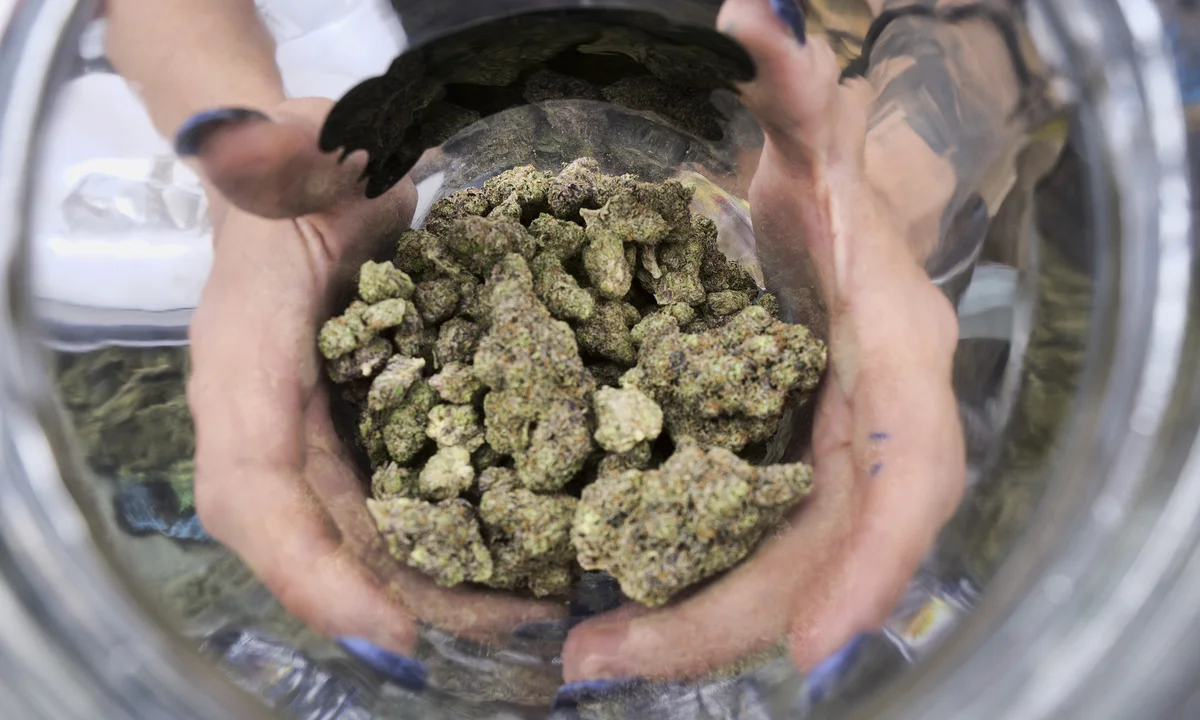 Trust in CBD OG Kush: Green Leaf Store EU's Physician-Tested, Hand-Selected Offerings