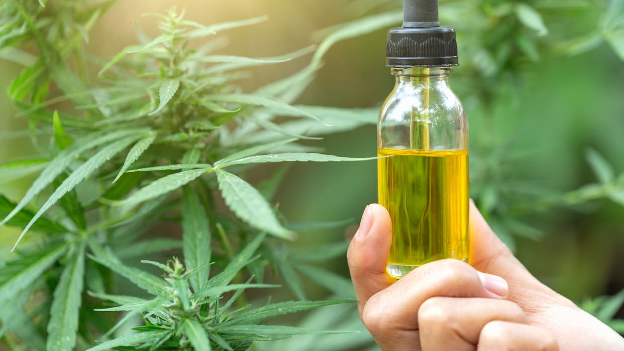Full Extract Medical THC & CBD Cannabis Oil – Pure, Lab-Tested Relief Across Europe