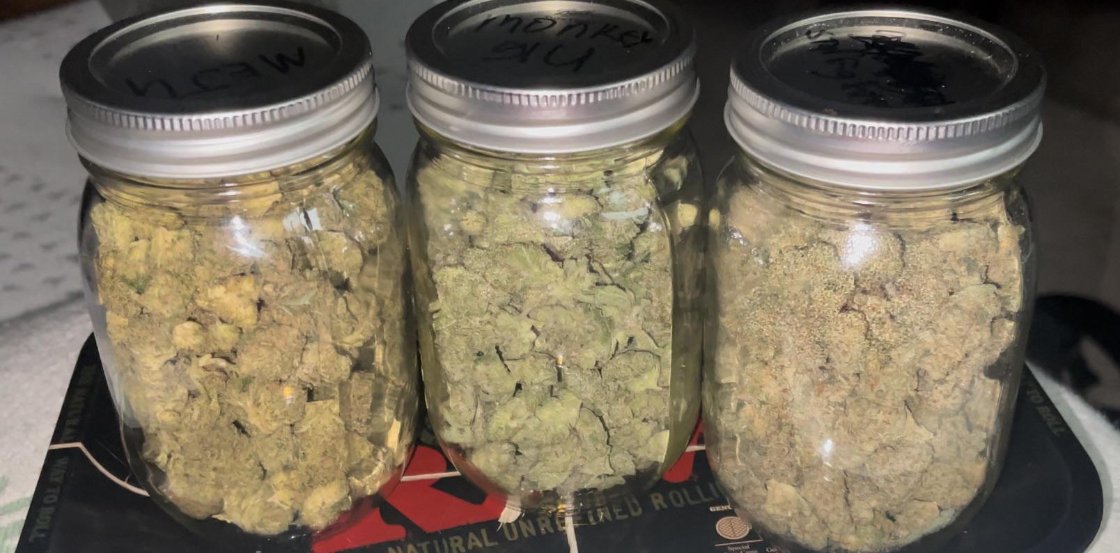 Aroma, textura y calidad en cada lote de La Cosechera CBD hash, una propuesta atractiva para quienes buscan variedad y gran formato