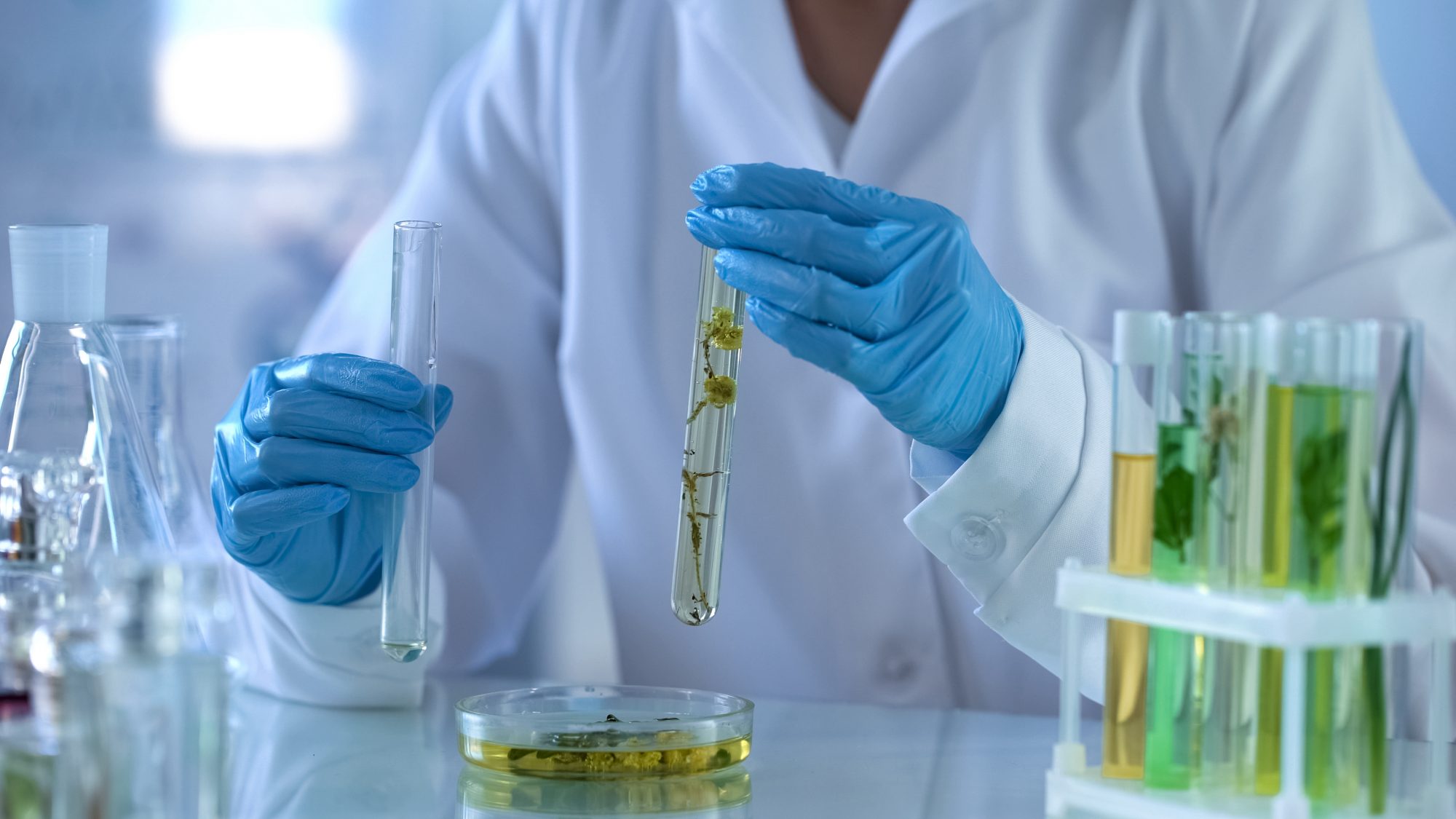 How to Source Research Chemical Cannabinoid for Laboratory Experiments